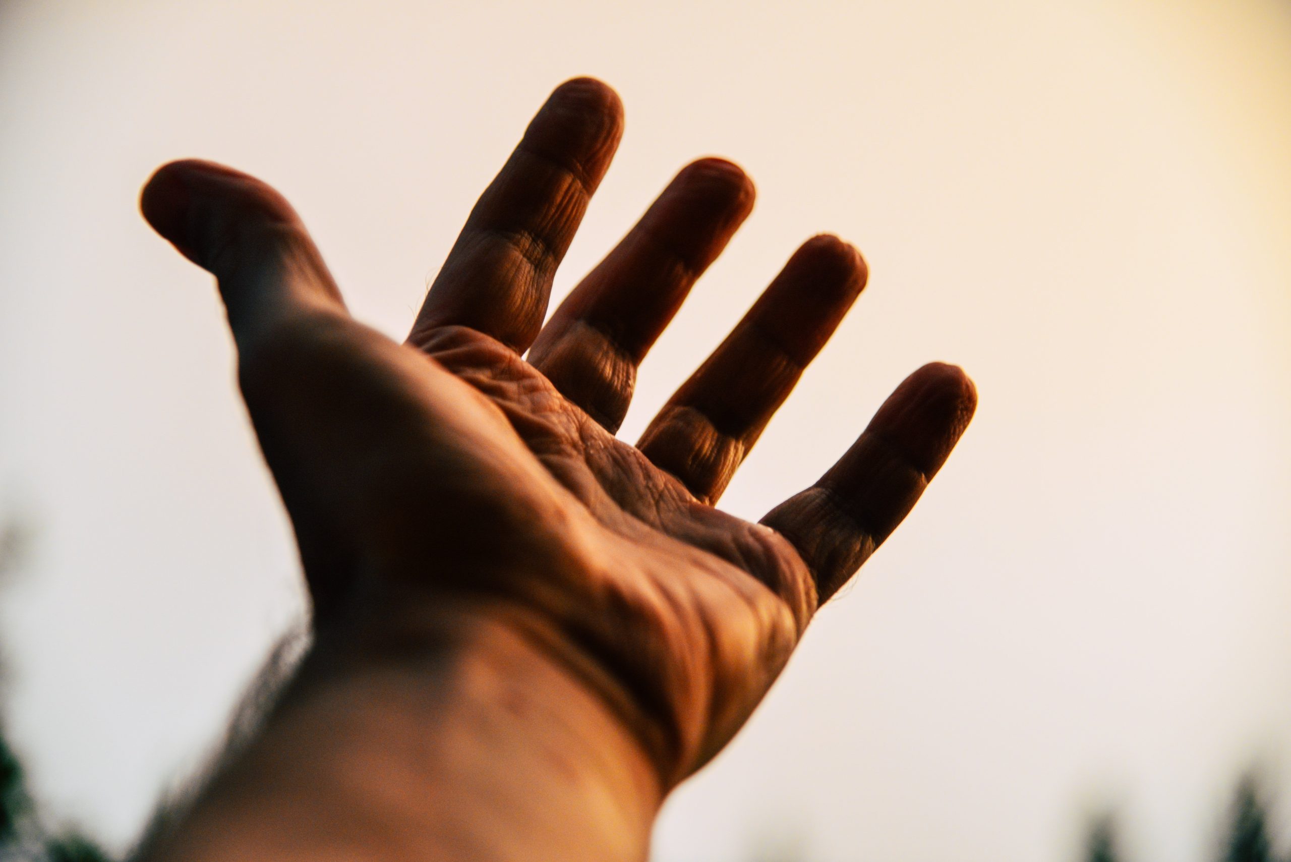 hand-5128771