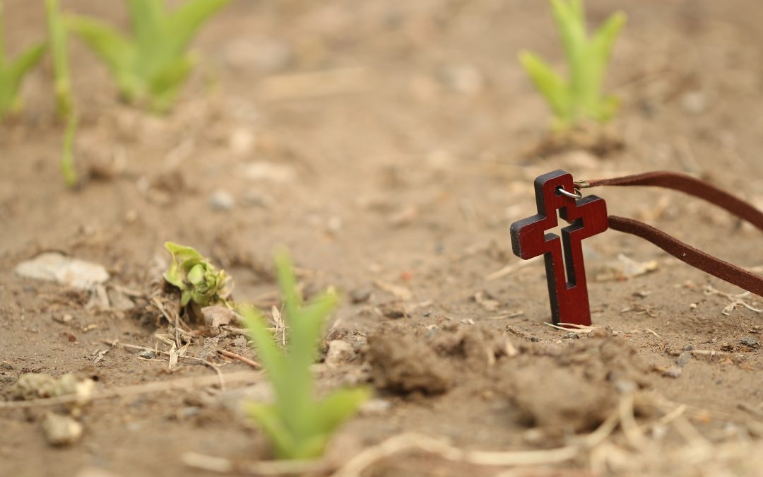 Vertrouwen op God