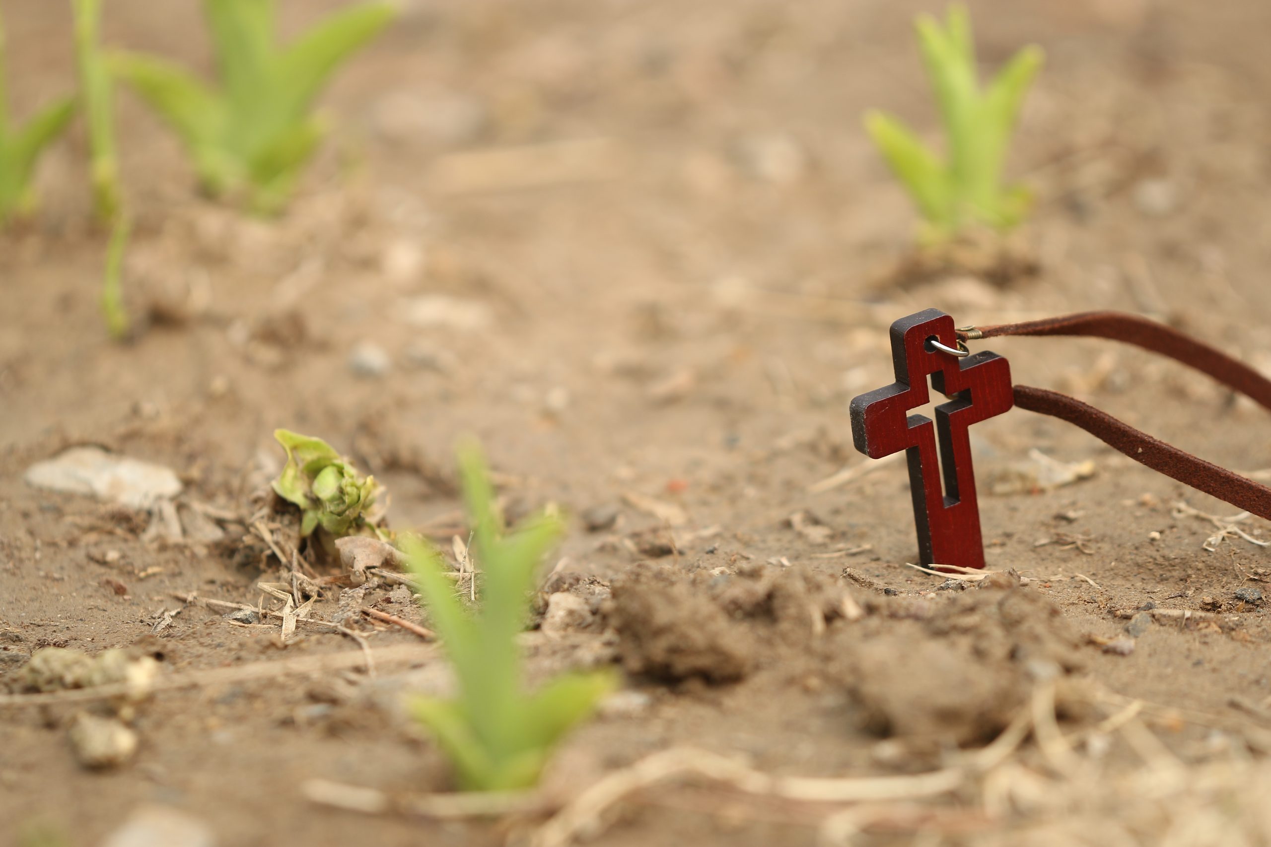 Vertrouwen op God