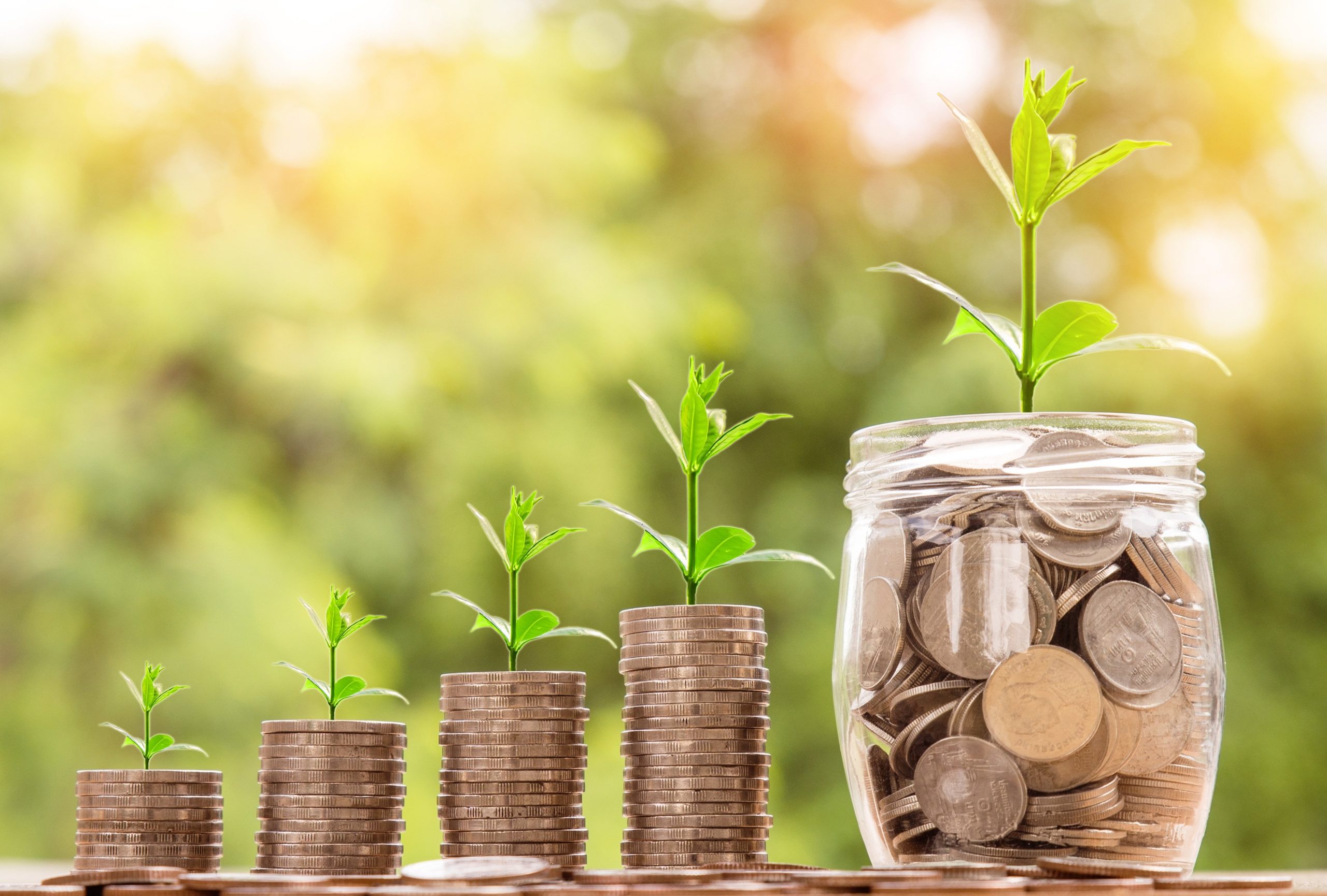 geven plant en geld